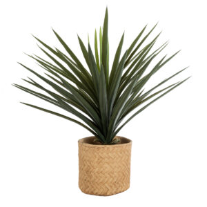 GloboStar® Artificial Garden MEDRANO 20799 ΣΕΤ 2 Διακοσμητικά Πολυεστερικά Τσιμεντένιά Κασπώ Γλάστρες – Flower Pots Μπεζ A:Φ25 x Υ23cm B:Φ25 x Υ23cm