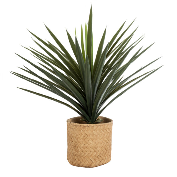 GloboStar® Artificial Garden MEDRANO 20799 ΣΕΤ 2 Διακοσμητικά Πολυεστερικά Τσιμεντένιά Κασπώ Γλάστρες – Flower Pots Μπεζ A:Φ25 x Υ23cm B:Φ25 x Υ23cm