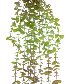 GloboStar® Artificial Garden HANGING EUCALYPTUS 20810 Τεχνητό Διακοσμητικό Κρεμαστό Φυτό Ευκάλυπτος Μ16 x Π9 x Υ105cm