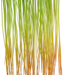 GloboStar® Artificial Garden HANGING GRASS 20815 Τεχνητό Διακοσμητικό Κρεμαστό Φυτό Grass Μ18 x Π4 x Υ81cm
