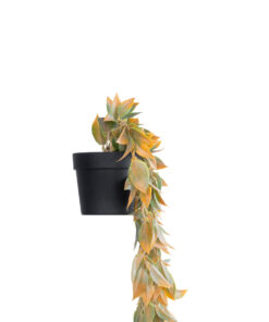 GloboStar® Artificial Garden HANGING POMELO LEAF 20871 – Τεχνητό Κρεμαστό Διακοσμητικό Φυτό Φύλλο Πομέλο Φ17 x Y50cm