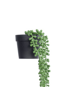 GloboStar® Artificial Garden HANGING LOVER’S TEARS 20878 – Τεχνητό Κρεμαστό Διακοσμητικό Φυτό Lover’s Tears Φ12 x Y40cm