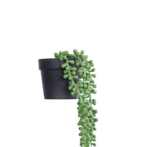GloboStar® Artificial Garden HANGING LOVER’S TEARS 20878 – Τεχνητό Κρεμαστό Διακοσμητικό Φυτό Lover’s Tears Φ12 x Y40cm
