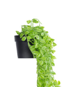 GloboStar® Artificial Garden HANGING PEACH LEAF 20880 – Τεχνητό Κρεμαστό Διακοσμητικό Φυτό Φύλλο Ροδακινιάς Φ20 x Y50cm