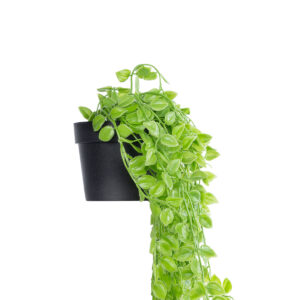 GloboStar® Artificial Garden HANGING PEACH LEAF 20880 – Τεχνητό Κρεμαστό Διακοσμητικό Φυτό Φύλλο Ροδακινιάς  Φ20 x Y50cm