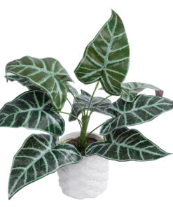 GloboStar® Artificial Garden ALOCASIA 20886 Τεχνητό Διακοσμητικό Φυτό Αλοκασία Φ38 x Υ33cm