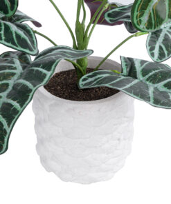 GloboStar® Artificial Garden ALOCASIA 20886 Τεχνητό Διακοσμητικό Φυτό Αλοκασία Φ38 x Υ33cm