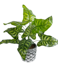 GloboStar® Artificial Garden PEACOCK 20888 Τεχνητό Διακοσμητικό Φυτό Παγώνι Φ38 x Υ33cm