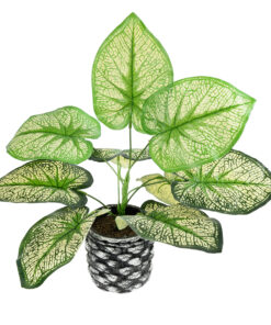 GloboStar® Artificial Garden CALADIUM 20889 Τεχνητό Διακοσμητικό Φυτό Τροπικό Φυτό Φ40 x Υ33cm