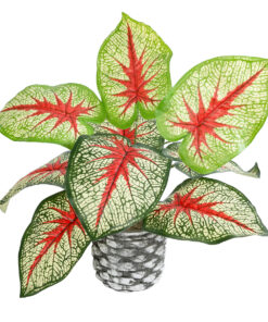 GloboStar® Artificial Garden CALADIUM 20891 Τεχνητό Διακοσμητικό Φυτό Τροπικό Φυτό Φ40 x Υ33cm