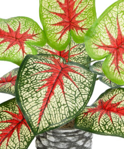 GloboStar® Artificial Garden CALADIUM 20891 Τεχνητό Διακοσμητικό Φυτό Τροπικό Φυτό Φ40 x Υ33cm
