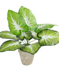 GloboStar® Artificial Garden CALADIUM POTTED PLANT 20894 Διακοσμητικό Φυτό Καλάντιουμ Φ40 x Υ33cm