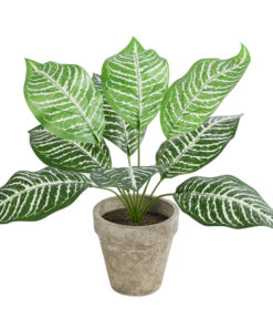 GloboStar® Artificial Garden ZEBRA POTTED PLANT 20898 Διακοσμητικό Φυτό Ζέμπρα Φ40 x Υ33cm