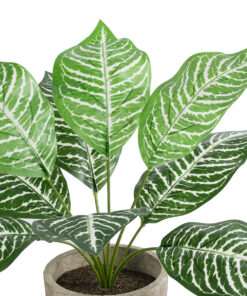 GloboStar® Artificial Garden ZEBRA POTTED PLANT 20898 Διακοσμητικό Φυτό Ζέμπρα Φ40 x Υ33cm