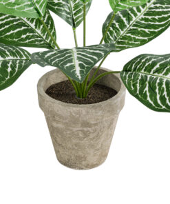 GloboStar® Artificial Garden ZEBRA POTTED PLANT 20898 Διακοσμητικό Φυτό Ζέμπρα Φ40 x Υ33cm