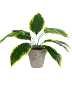 GloboStar® Artificial Garden YELLOW HOSTA PLANT 20899 Τεχνητό Διακοσμητικό Φυτό Κίτρινη Χόστα Φ45 x Υ40cm