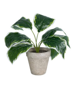 GloboStar® Artificial Garden WHITE HOSTA PLANT 20900 Διακοσμητικό Φυτό Λευκή Χόστα Φ45 x Υ40cm