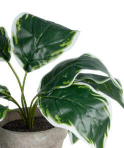 GloboStar® Artificial Garden WHITE HOSTA PLANT 20900 Διακοσμητικό Φυτό Λευκή Χόστα Φ45 x Υ40cm