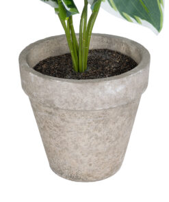 GloboStar® Artificial Garden WHITE HOSTA PLANT 20900 Διακοσμητικό Φυτό Λευκή Χόστα Φ45 x Υ40cm