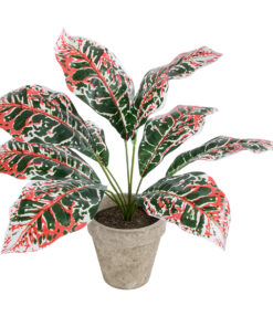 GloboStar® Artificial Garden RED AGLAONEMA POTTED PLANT 20901 Διακοσμητικό Φυτό Κόκκινο Αγλαόνημα Φ40 x Υ33cm