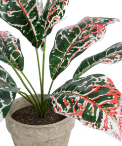 GloboStar® Artificial Garden RED AGLAONEMA POTTED PLANT 20901 Διακοσμητικό Φυτό Κόκκινο Αγλαόνημα Φ40 x Υ33cm