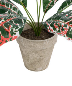 GloboStar® Artificial Garden RED AGLAONEMA POTTED PLANT 20901 Διακοσμητικό Φυτό Κόκκινο Αγλαόνημα Φ40 x Υ33cm