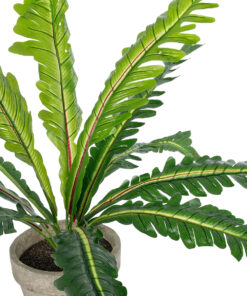 GloboStar® Artificial Garden ASPLENIUM POTTED PLANT 20904 Διακοσμητικό Φυτό Aslenium Φ40 x Υ33cm