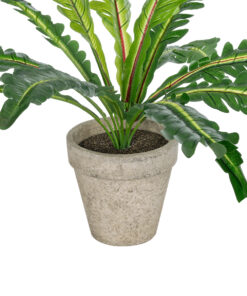 GloboStar® Artificial Garden ASPLENIUM POTTED PLANT 20904 Διακοσμητικό Φυτό Aslenium Φ40 x Υ33cm