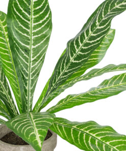 GloboStar® Artificial Garden ZEBRA POTTED PLANT 20906 Διακοσμητικό Φυτό Ζέμπρα Φ40 x Υ33cm