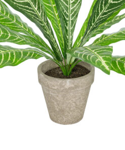 GloboStar® Artificial Garden ZEBRA POTTED PLANT 20906 Διακοσμητικό Φυτό Ζέμπρα Φ40 x Υ33cm