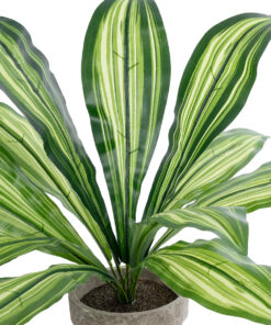 GloboStar® Artificial Garden DRACAENA POTTED PLANT 20907 Διακοσμητικό Φυτό Δράκενα Φ40 x Υ33cm