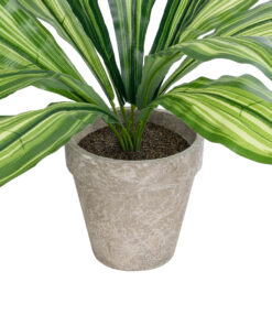 GloboStar® Artificial Garden DRACAENA POTTED PLANT 20907 Διακοσμητικό Φυτό Δράκενα Φ40 x Υ33cm