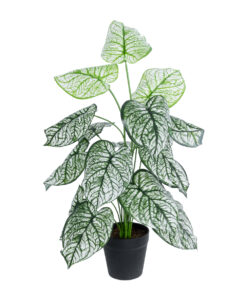 GloboStar® Artificial Garden CALADIUM 20908 Διακοσμητικό Φυτό Καλάδια Υ75cm