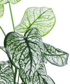 GloboStar® Artificial Garden CALADIUM 20908 Διακοσμητικό Φυτό Καλάδια Υ75cm