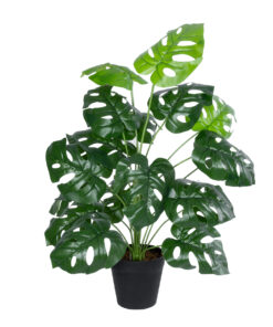 GloboStar® Artificial Garden MONSTERA PLANT 20909 – Διακοσμητικό Φυτό Μονστέρα Φ50 x Υ75cm