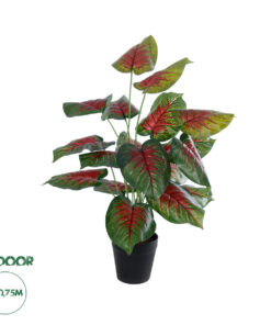 GloboStar® Artificial Garden CALADIUM MIX 20911 Διακοσμητικό Φυτό Καλάντιουμ Υ75cm