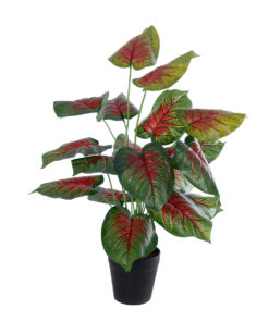 GloboStar® Artificial Garden CALADIUM MIX 20911 Διακοσμητικό Φυτό Καλάντιουμ Υ75cm