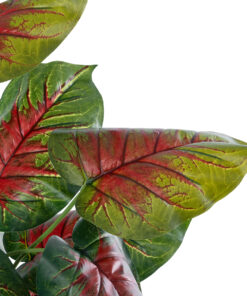 GloboStar® Artificial Garden CALADIUM MIX 20911 Διακοσμητικό Φυτό Καλάντιουμ Υ75cm