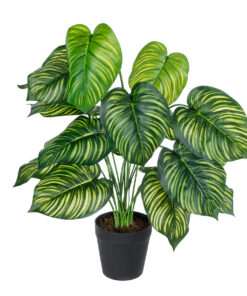 GloboStar® Artificial Garden CALATHEA PLANT 20912 Διακοσμητικό Φυτό Καλαθέα Φ55 x Υ75cm