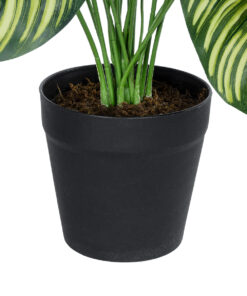 GloboStar® Artificial Garden CALATHEA PLANT 20912 Διακοσμητικό Φυτό Καλαθέα Φ55 x Υ75cm