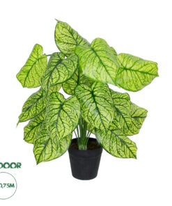 GloboStar® Artificial Garden CALADIUM PLANT 20913 Διακοσμητικό Φυτό Καλάντιουμ Φ55 x Υ75cm