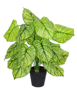 GloboStar® Artificial Garden CALADIUM PLANT 20913 Διακοσμητικό Φυτό Καλάντιουμ Φ55 x Υ75cm