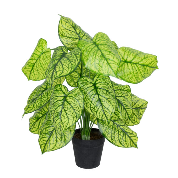 GloboStar® Artificial Garden CALADIUM PLANT 20913 Διακοσμητικό Φυτό Καλάντιουμ Φ55 x Υ75cm