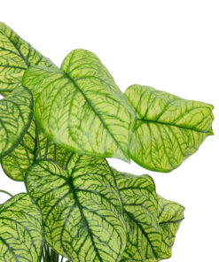 GloboStar® Artificial Garden CALADIUM PLANT 20913 Διακοσμητικό Φυτό Καλάντιουμ Φ55 x Υ75cm