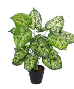 GloboStar® Artificial Garden DIEFFENBACHIA PLANT 20914 Διακοσμητικό Φυτό Διφενμπάχια Φ58 x Υ75cm