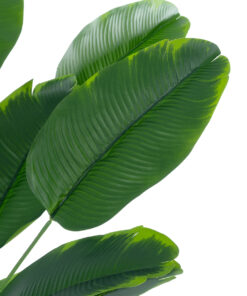 GloboStar® Artificial Garden YOUNG BANANA PLANT 20916 – Διακοσμητικό Φυτό Νεαρή Μπανανιά Φ82 x Υ80cm