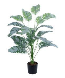 GloboStar® Artificial Garden BANANA ZEBRA PLANT 20919 – Διακοσμητικό Φυτό Μπανανιά Ζέβρα Φ78 x Υ80cm