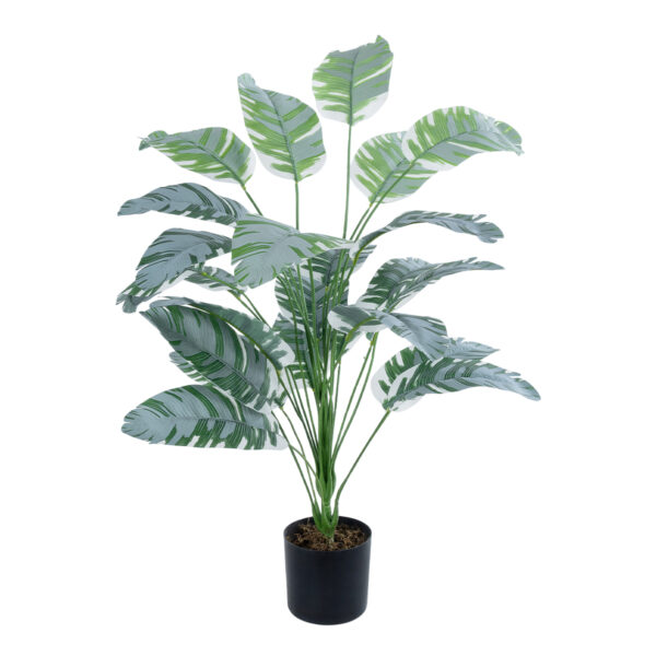 GloboStar® Artificial Garden BANANA ZEBRA PLANT 20919 - Διακοσμητικό Φυτό Μπανανιά Ζέβρα Φ78 x Υ80cm