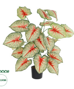 GloboStar® Artificial Garden CALADIUM PLANT 20921 Διακοσμητικό Φυτό Καλάντιουμ Φ75 x Υ80cm