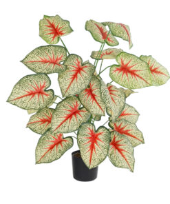 GloboStar® Artificial Garden CALADIUM PLANT 20921 Διακοσμητικό Φυτό Καλάντιουμ Φ75 x Υ80cm